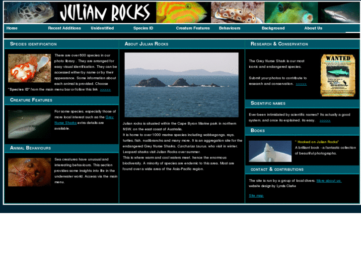 www.julianrocks.net