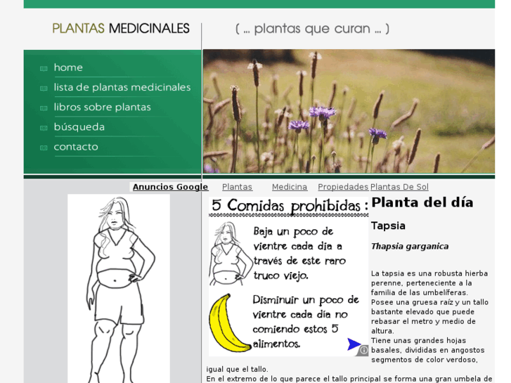 www.plantasenmedicina.com.ar