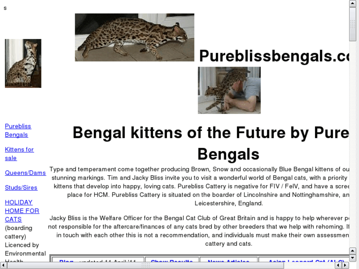 www.pureblissbengals.com