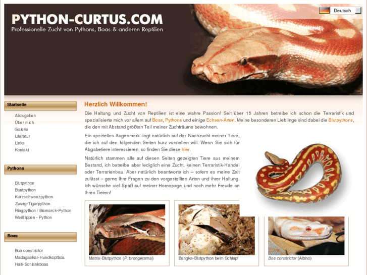 www.python-curtus.com