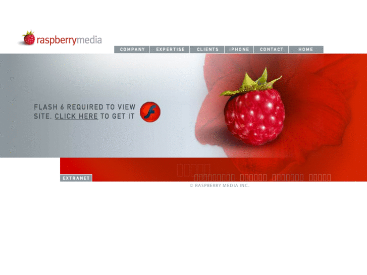 www.raspberrymedia.com