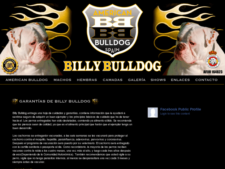 www.billybulldog.com