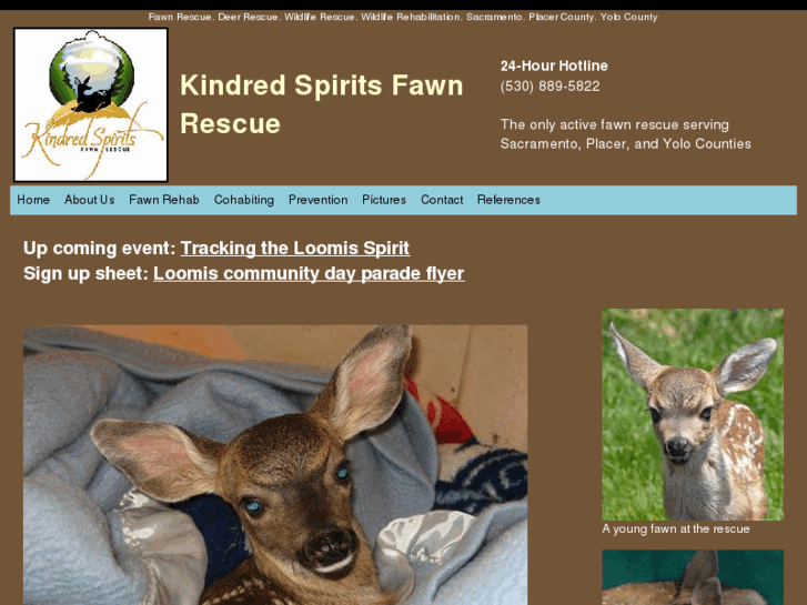 www.kindredspiritsfawnrescue.org