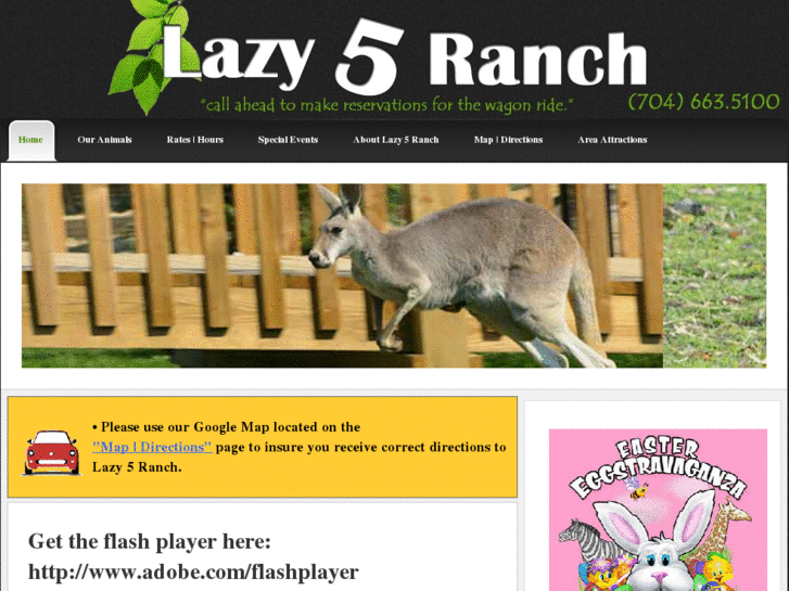 www.lazy5ranch.com