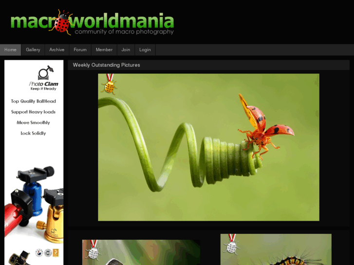 www.macroworldmania.com