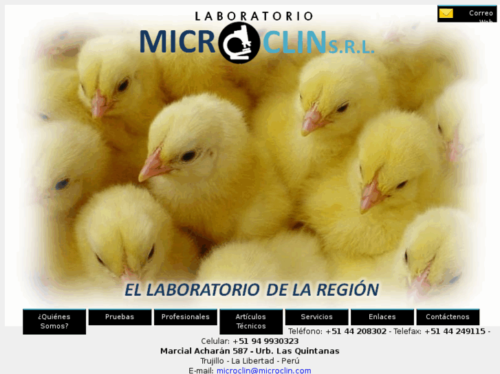 www.microclin.com