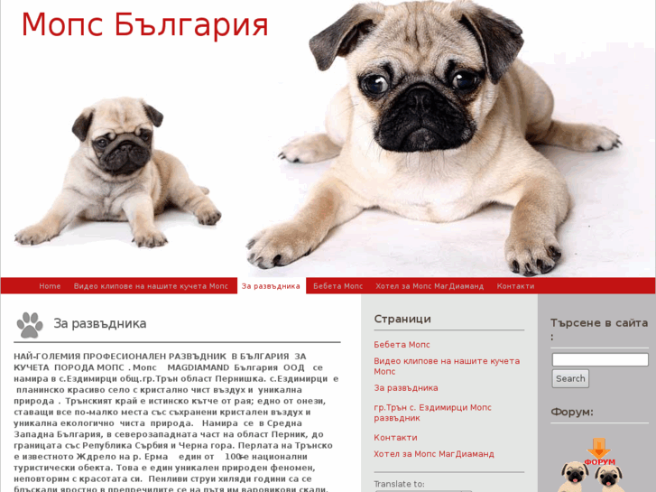 www.mopsbulgaria.com