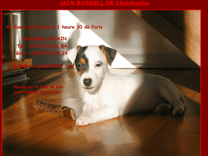 www.jackrussel.net