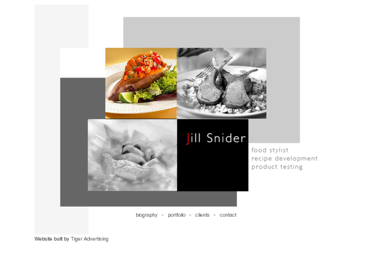 www.jillsnider.com