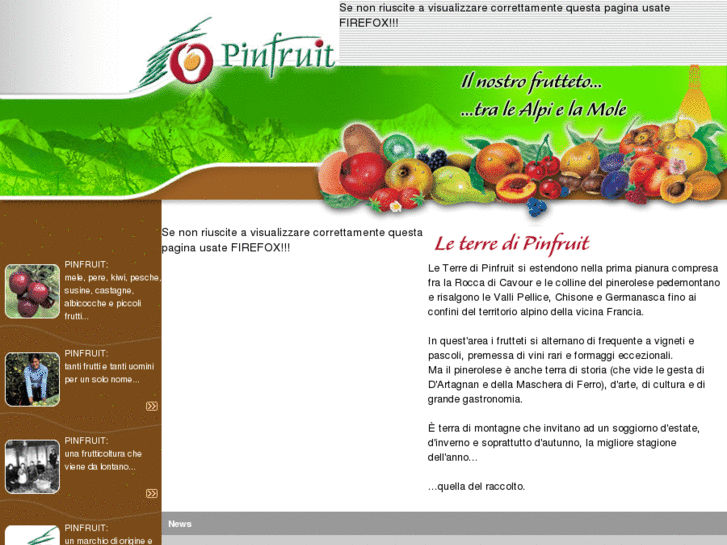 www.pinfruit.it