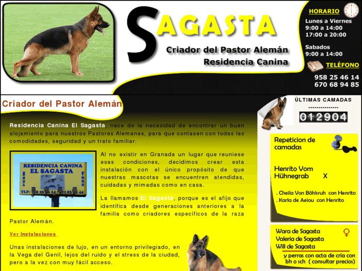 www.residenciasagasta.com