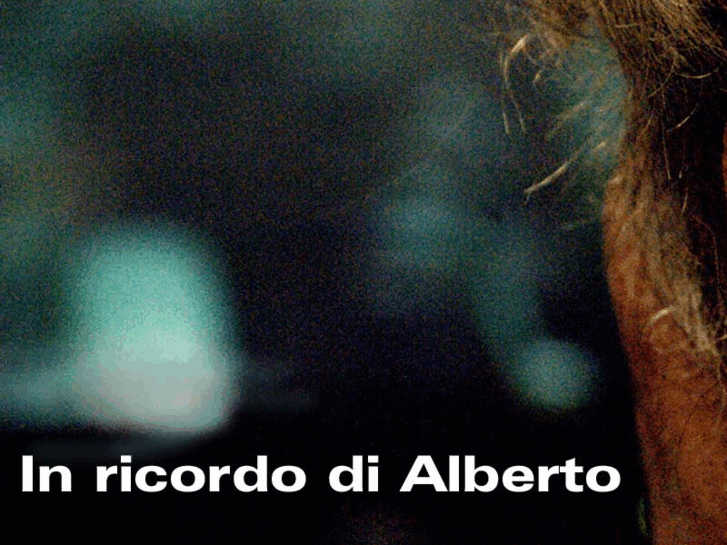 www.albertogrifi.com