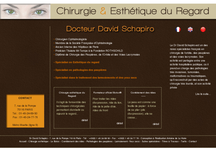 www.david-schapiro.com