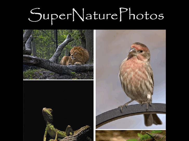 www.supernaturephotos.com