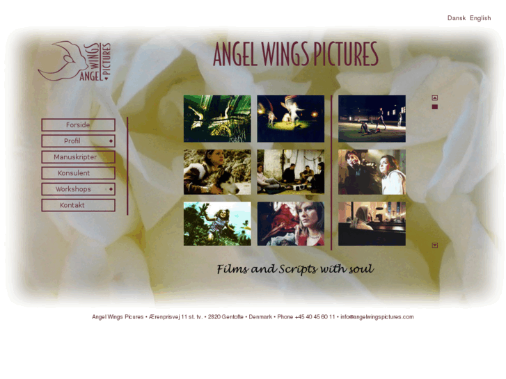 www.angelwingspictures.com