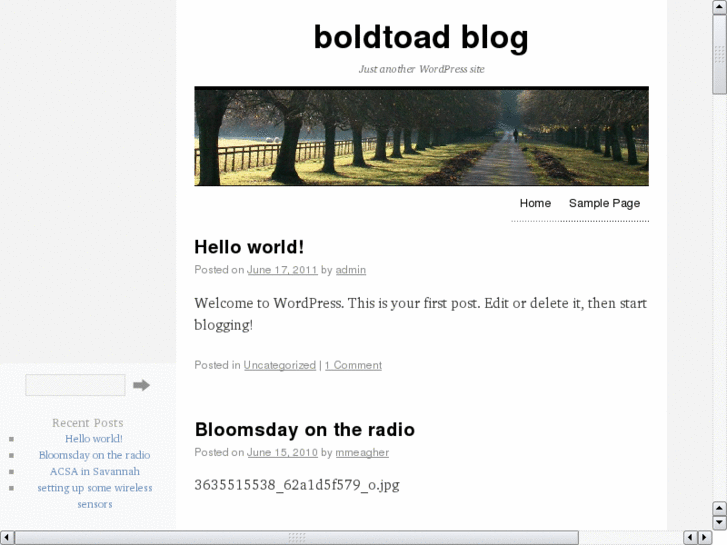 www.boldtoad.com