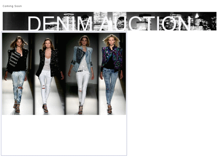 www.denimauction.com