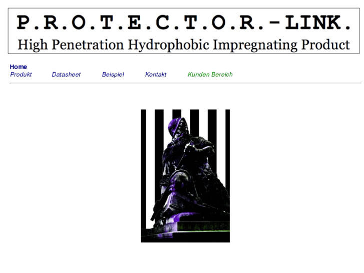 www.protector-link.ch