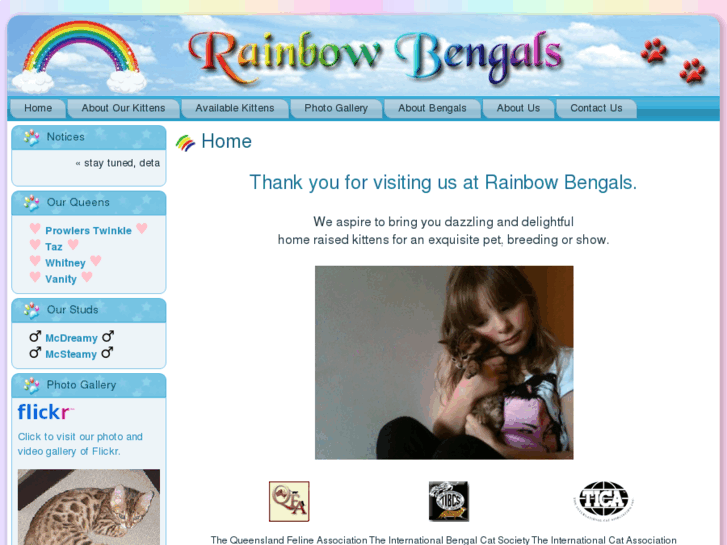 www.rainbowbengals.com