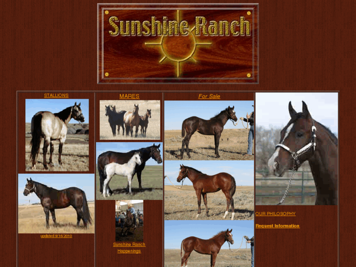 www.sunshinehorse.com