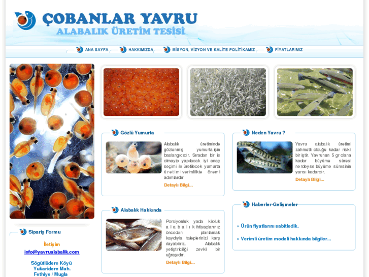 www.yavrualabalik.com