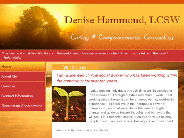 www.denisehammondcounseling.com