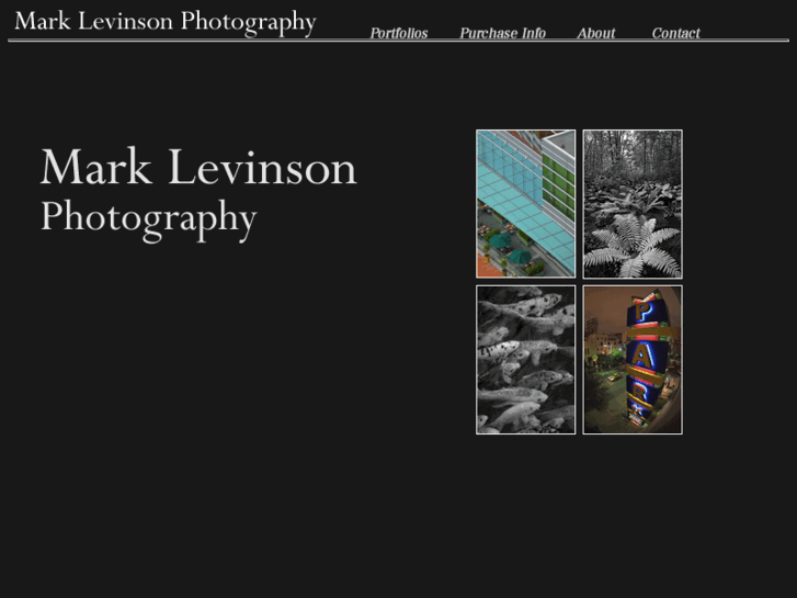 www.marklevinsonphoto.com