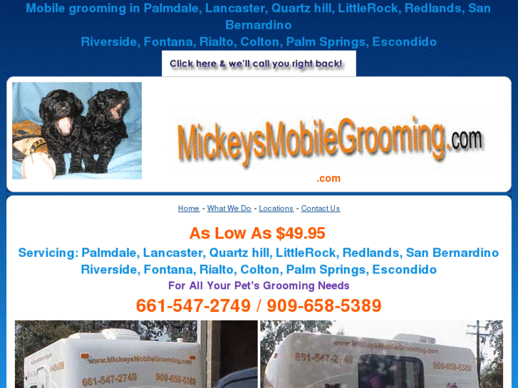 www.mickeysmobilegrooming.com