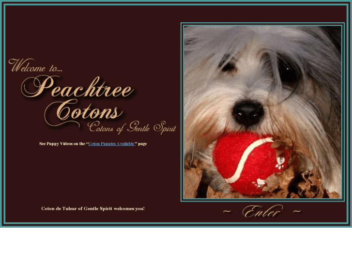 www.peachtreecotons.com