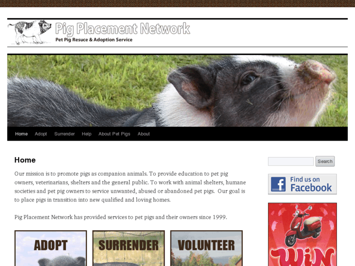www.pigplacementnetwork.org
