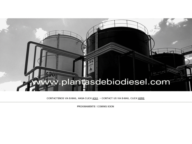 www.plantasdebiodiesel.com