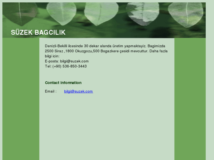 www.suzek.com
