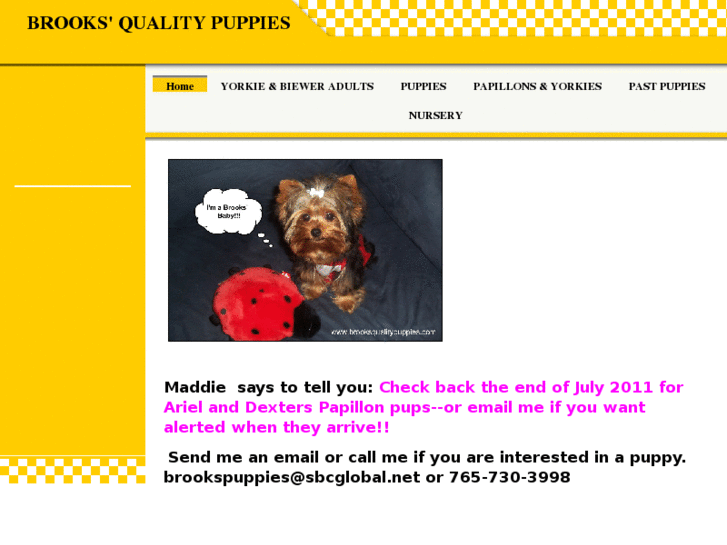 www.brooksqualitypuppies.com