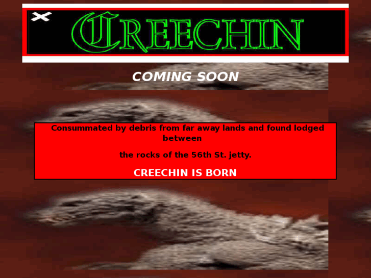 www.creechin.com