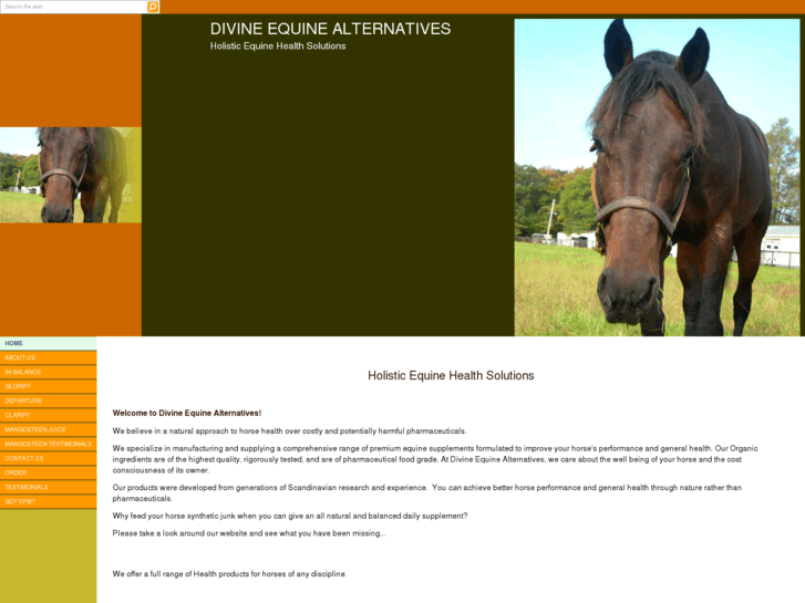 www.divineequine.org