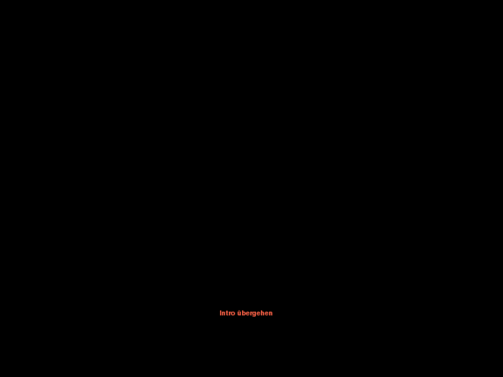 www.ironman-heinz.de