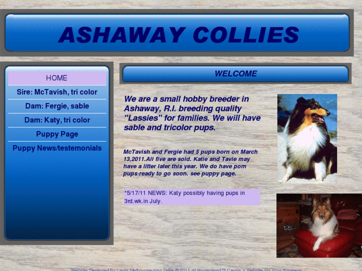 www.ashawaycollies.com