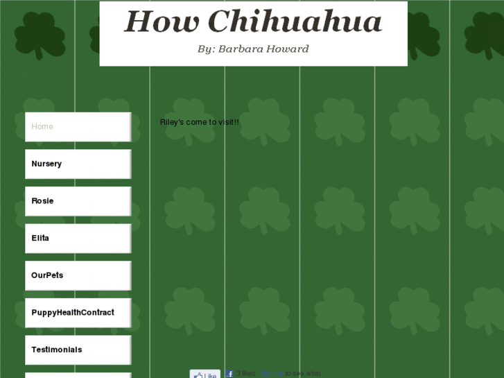 www.howchihuahua.com