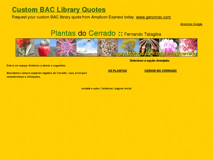 www.plantasdocerrado.com