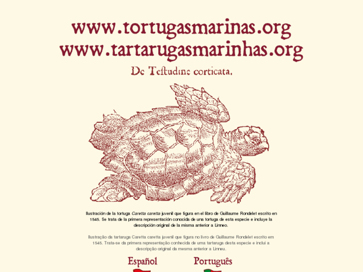 www.tartarugasmarinhas.org