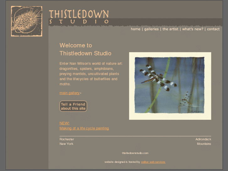 www.thistledownstudio.com