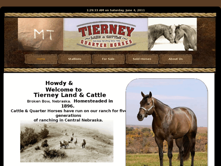 www.tierneyhorses.com