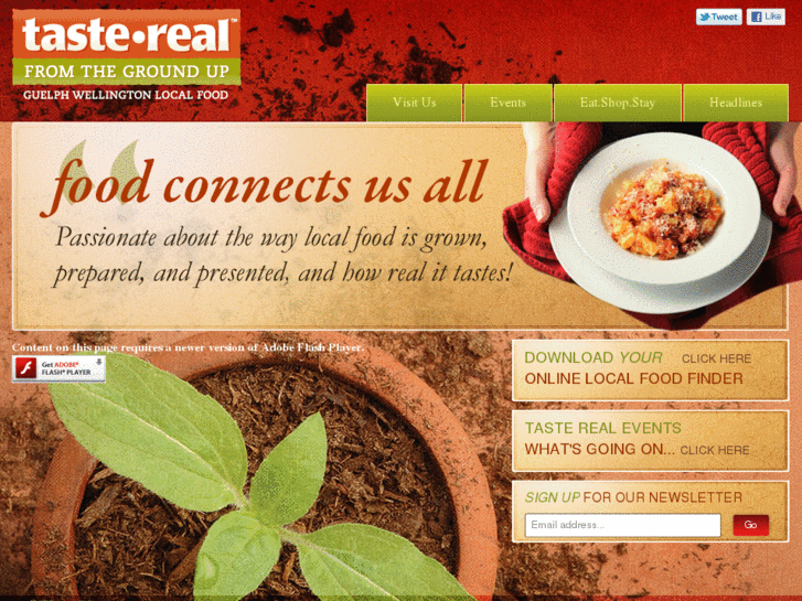 www.tastereal.com