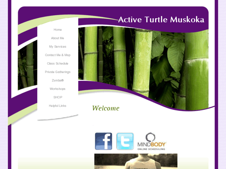 www.activeturtle.com