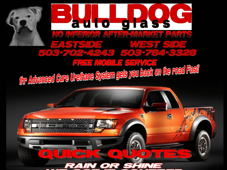 www.bulldogautoglass.com