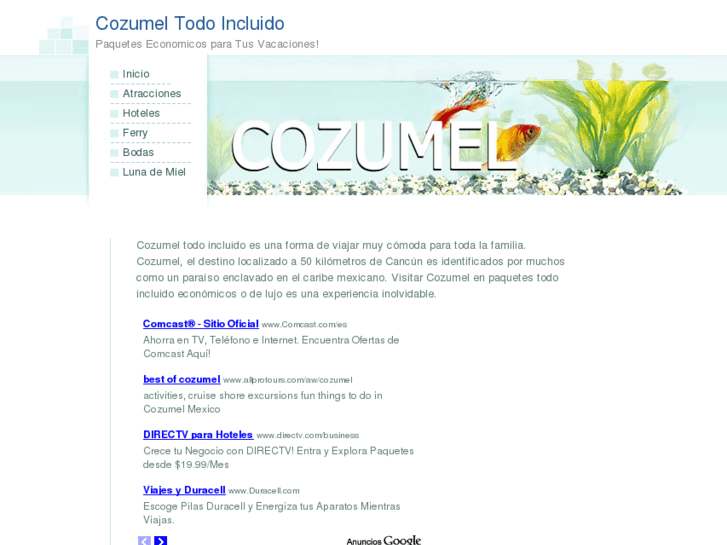 www.cozumeltodoincluido.com