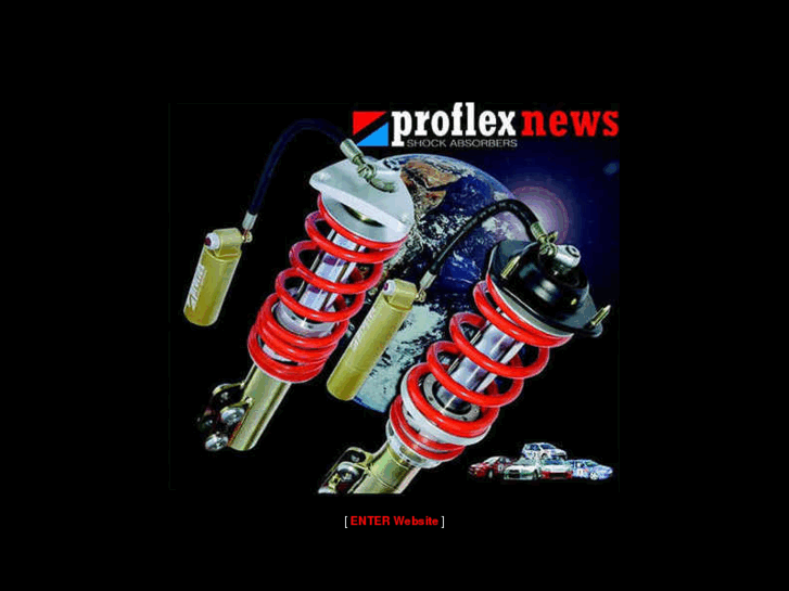 www.proflex-shockabsorbers.com
