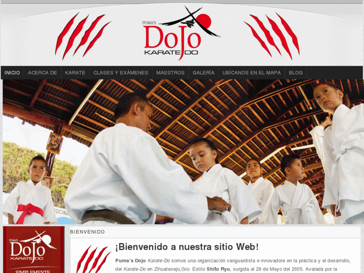 www.pumasdojo.com