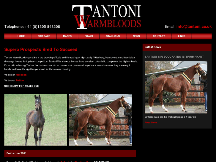 www.tantoni.co.uk