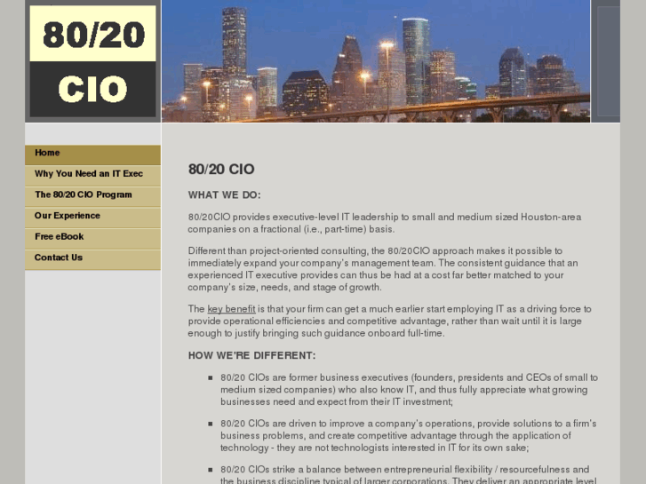 www.80-20cio.com